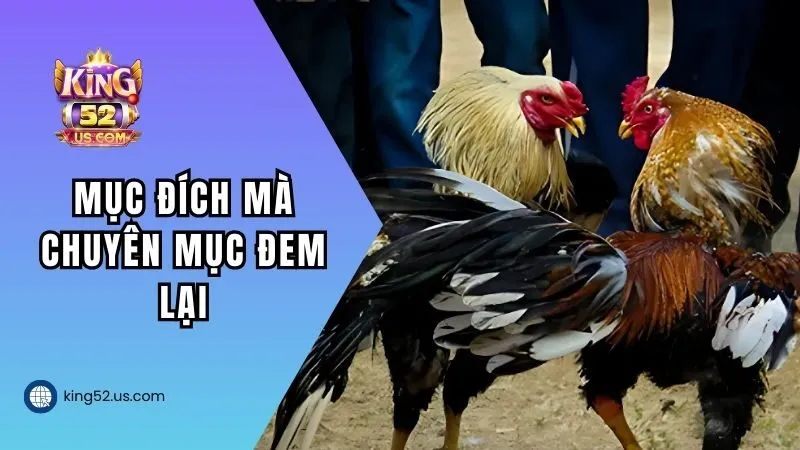 Mục đích mà chuyên mục đem lại