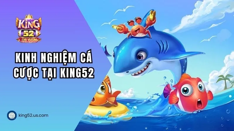 Kinh nghiệm cá cược tại King52